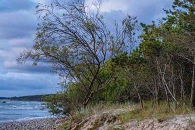 未来潜力无限：澳大利亚队如何在乒乓世界舞台再创新高，澳大利亚乒乓球公开赛