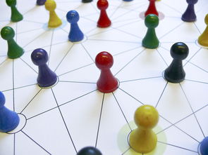 LEYU SPORTS中国官方网站-中国篮球教练员领导力培养路径，中国篮球协会篮球教练员等级