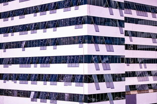 乐鱼（中国）体育官方网站-中国篮球职业联赛青训体系建设与优化，中国青年篮球队