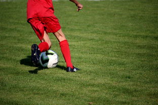 乐鱼体育平台app下载-中国篮球职业联赛俱乐部青训体系建设及实践探索，职业篮球青年队