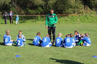 乐鱼在线登录-中国篮球教练员战术创新与应用能力提升路径探索，全国篮球教练员岗位培训