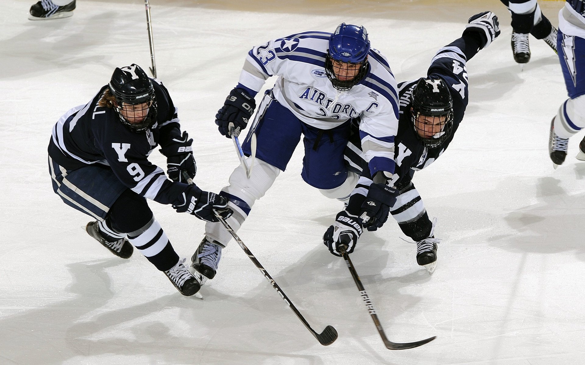 节约能源：未来足球场的智能节能设计，设计足球场如何节约城市空间