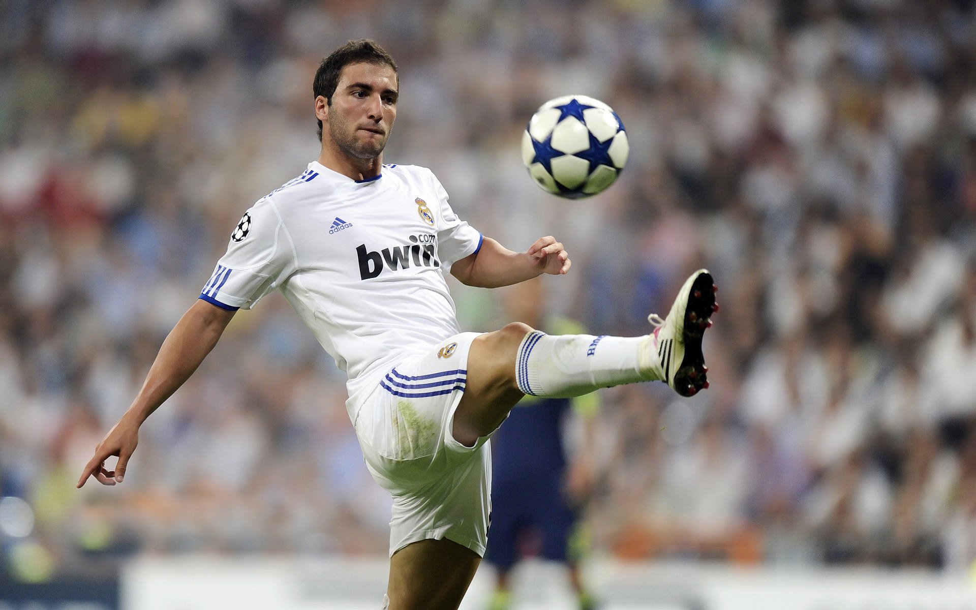 莫伊：作为全黑队前锋中的核心力量，他的表现让对手无法抵挡，莫伊兹简历